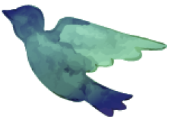 p-homeStory-bird-2
